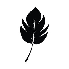 Obraz premium Palm banana leaf silhouette vector. 