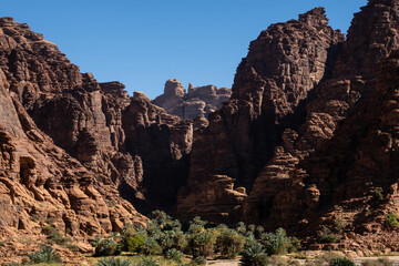 Fototapeta premium Wadi Al Disah, a famous stunning canyon and oasis near Tabuk in Saudi Arabia in the middle east