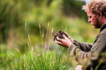 farmer collecting soil samples in a test tube in a field. Agronomist checking soil carbon and plant health on a farm