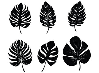 palm banana leaf silhouette vector. - obrazy, fototapety, plakaty