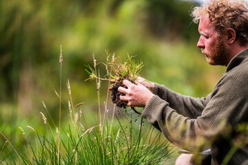 agricultural farmer Holding soil in a hand, feeling compost in a field in Tasmania Australia. soil...