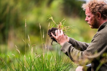 agricultural farmer Holding soil in a hand, feeling compost in a field in Tasmania Australia. soil...