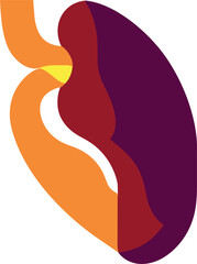 human spleen, icon colored shapes - obrazy, fototapety, plakaty