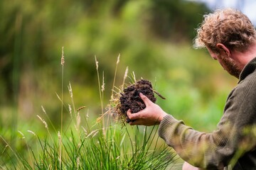 farmer collecting soil samples in a test tube in a field. Agronomist checking soil carbon and plant health on a farm