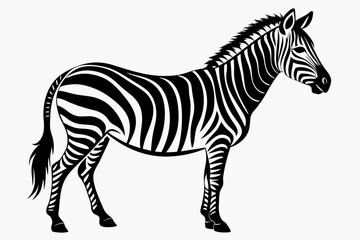Fototapeta na wymiar simple zebra silhouette black on white background