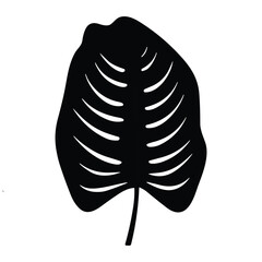 palm banana leaf silhouette vector.
