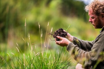 agricultural farmer Holding soil in a hand, feeling compost in a field in Tasmania Australia. soil...