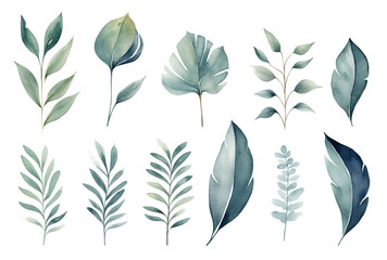 Set collection illustration watercolor green leaves and branches on transparent background. Botanical Illustration elegant watercolor illustration , green tropical leaves - obrazy, fototapety, plakaty