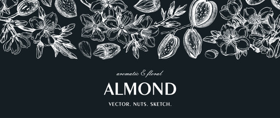 Almond background on chalkboard. Blooming branches, flowers, almond nut sketches. Hand drawn vector illustration. Botanical banner. NOT AI generated - 775011816