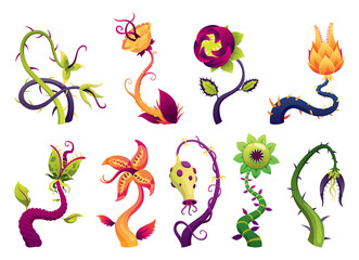 Carnivorous plant set. Cartoon flytraps or flower predators. Angry flowers, monster plant icons. illustration