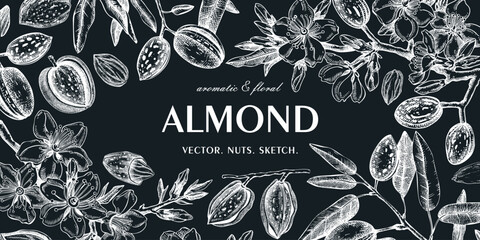 Almond background on chalkboard. Blooming branches, flowers, almond nut sketches. Hand drawn vector illustration. Botanical banner design. NOT AI generated