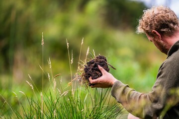 agronomiston a farm practicing agronomy holding soil, doing soil tests in her home laboratory....