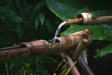 Asian water fountain made of bamboo sticks in the rainforest