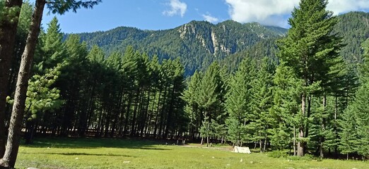 beautiful natural green mountain landscape background