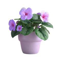 Potted plant with purple flowers on Transparent Background