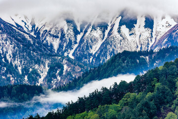 Mist and fog over lush forest and jagged snowcapped mountains