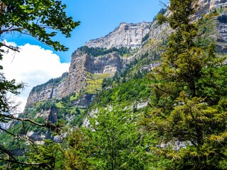 Rocky mountain behind the trees under blue cloudy sky