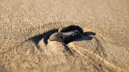 A beautiful shape stone on the beach's sand on the Baltic Sea.