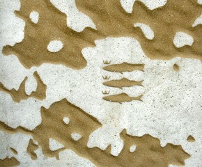 The flag of Scheveningen on a paving slab with beach sand