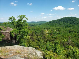 Wide shot of a forest on a hill with some rocks in view