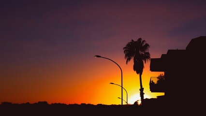 Silhouette of a palm tree and streetlights with a scenic orange sunset sky in the background