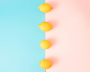 Juicy lemons on bright blue and pink background. Lemon fruit, citrus minimal concept, vitamin C....
