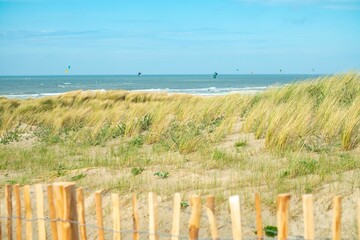 Fototapeta premium Scenic shot of grass by the sea