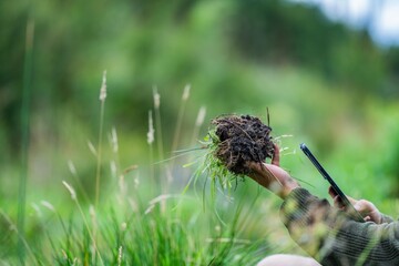 agricultural farmer Holding soil in a hand, feeling compost in a field in Tasmania Australia. soil...