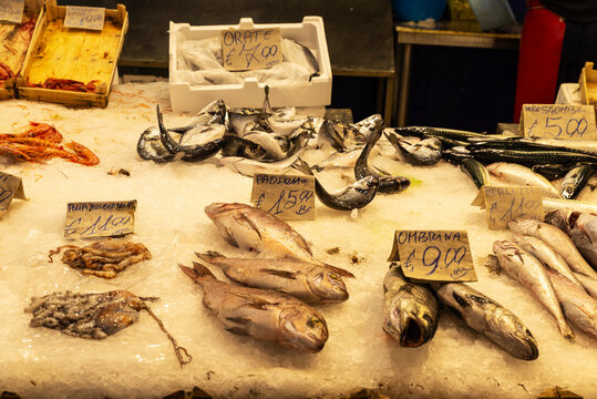 Fish and seafood shop in Ballaro Market, Palermo, Sicily, Italy