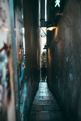 Vertical shot of a person walking down the stairs of a very narrow alleyway between buildings