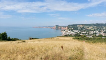 Scenic shot of grass fields overlooking the coast under a cloudy blue sky