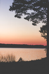 Silhouette shot of tree by the water under sunset orange sky, vertical shot
