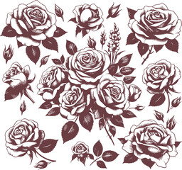 blooming roses with leaves in vector monochrome drawing