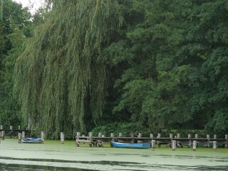 Green mossy lake with rowing boats tied to piers under huge hanging leaves