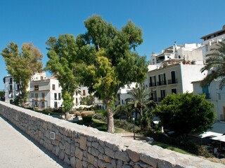 Line of trees behind stone fence in the street and white architectures in the background