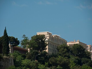 Fototapeta na wymiar Big building behind green trees under blue sky
