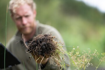 agricultural farmer Holding soil in a hand, feeling compost in a field in Tasmania Australia. soil...