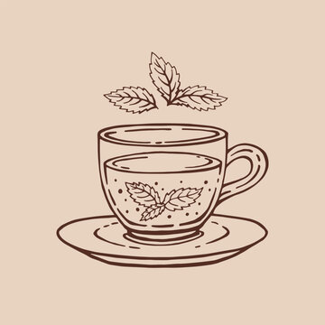 Glass cup tea, mint leaves. Hand drawn vector illustration in outline style.