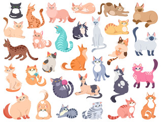 Cartoon cat characters collection. Different cat`s poses emotions set