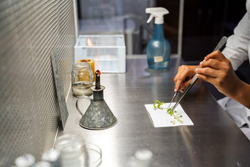 cientista cortando plantas para exame
