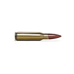 bullet on a white background