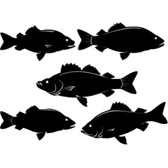 set of fish