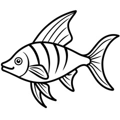 fish illustration