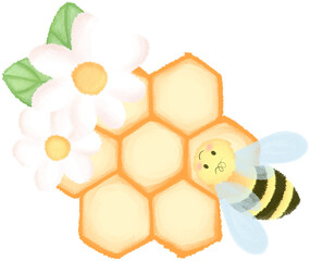 honeycomb and bee