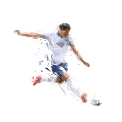 Foto auf Glas Football player kicking ball, isolated low poly illustration. Soccer logo © michalsanca