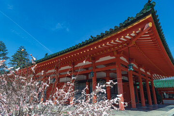 京都 平安神宮神楽殿 - 775047262