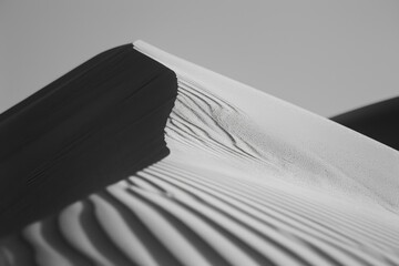 Monochrome Desert Waves Carving Abstract Patterns