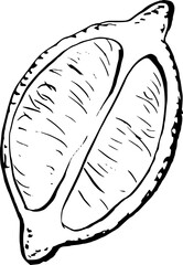 Lemon fruit hand drawn vector sketch illustration. Purchase poster, print, home decoration, menu cover, invitation, design template.