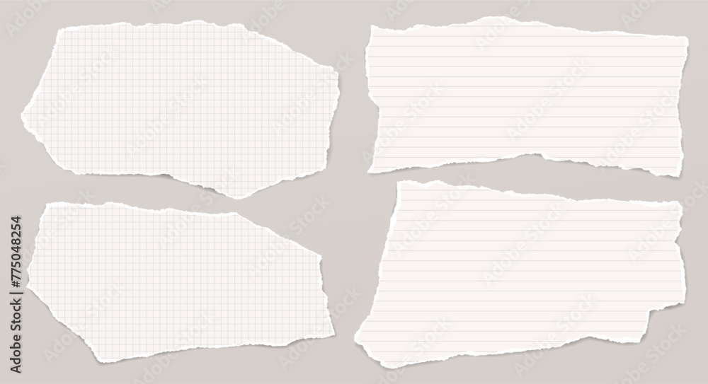 Poster set of torn, lined, math note, notebook paper with soft shadow are on light grey background for text