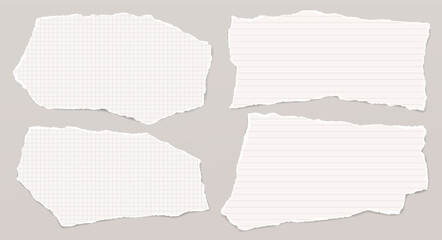 Set of torn, lined, math note, notebook paper with soft shadow are on light grey background for text. - 775048254